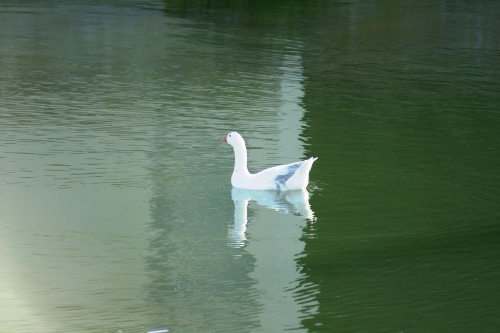 Le Marina B&B เวลด์ดริฟ ภายนอก รูปภาพ